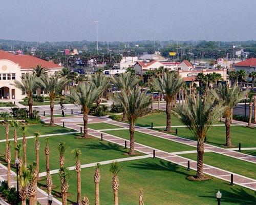 Palm trees line brick sidewalks that lead throughout the location.